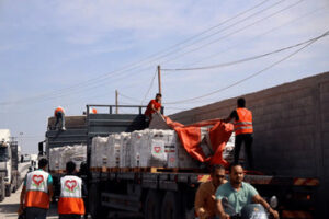 download_38_6b59bb24-e944-4861-bbea-de0aa1808724_1